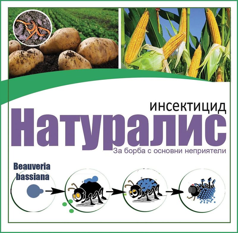 Натуралис биоинсектицид – телени червеи, белокрилки