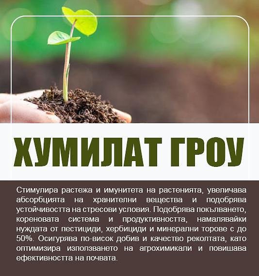 Хумилат Гроу